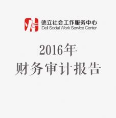 2016年财务审计报告