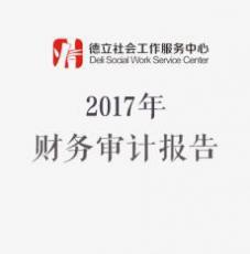 2017年财务审计报告